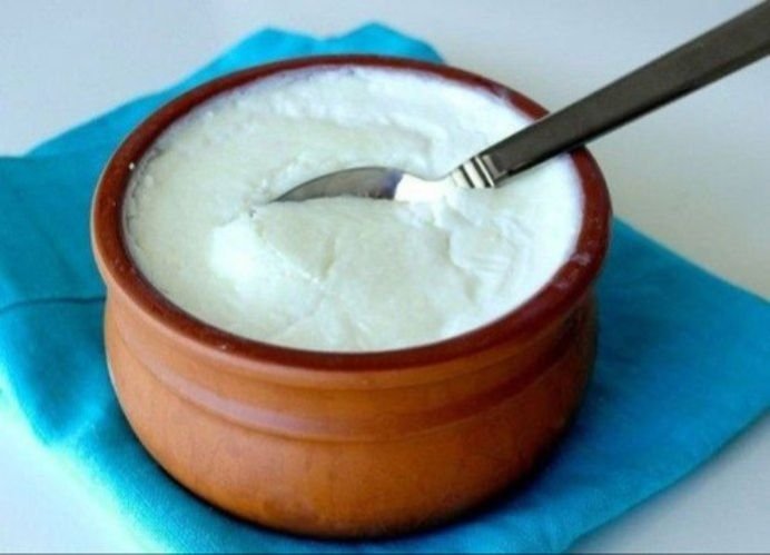 Nabadwip Famous White Curd